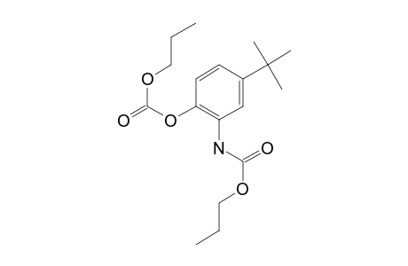 2-Amino-4-tert-butylphenol, N,o-di(N-propyloxycarbonyl)-