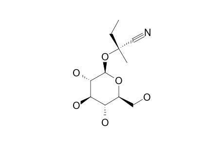 LOTAUSTRALIN;(R)-2-(BETA-D-GLUCOPYRANOSYLOXY)-2-METHYLBUTANENITRILE