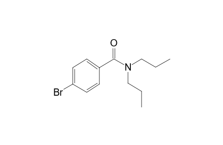 Benzamide, 4-bromo-N,N-dipropyl-