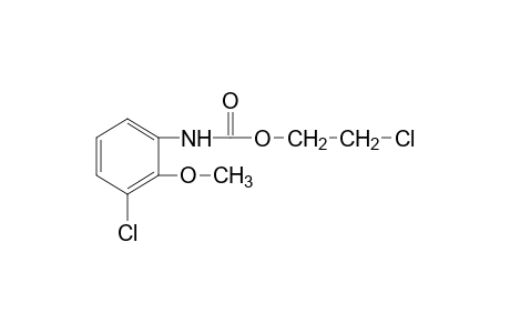 3-chloro-2-methoxycarbanilic acid, 2-chloroethyl ester