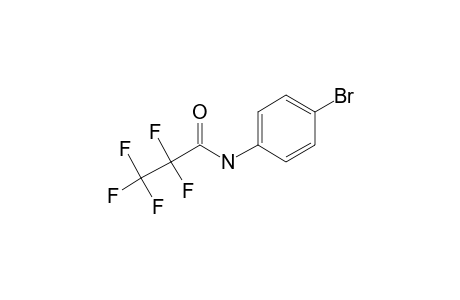 4-Bromoaniline, N-pentafluoropropionyl-