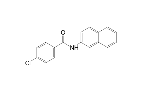 p-chloro-N-2-naphthylbenzamide