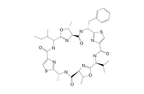 PATELLAMIDE_C