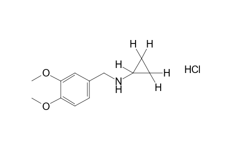 N-cyclopropylveratrylamine, hydrochloride