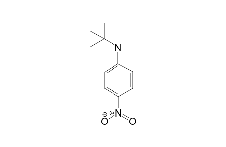 p-Nitro-N-tert-butylaniline