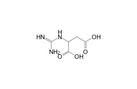 guanidinosuccinate, 2TMS, 1MEOX