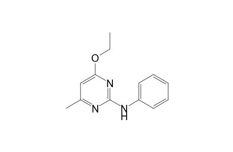 2-Anilino-4-ethoxy-6-methylpyrimidine