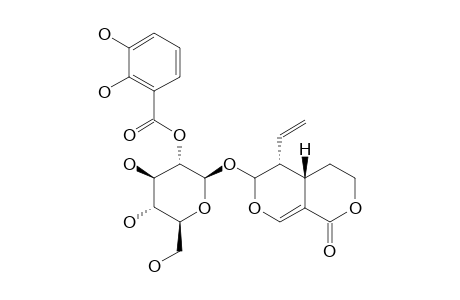 2'-(ORTO,META-DIHYDROXYBENZOYL)-SWEROSIDE