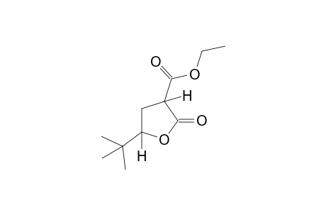 5-tert-butyl-2-oxotetrahydro-3-furoic acid, ethyl ester