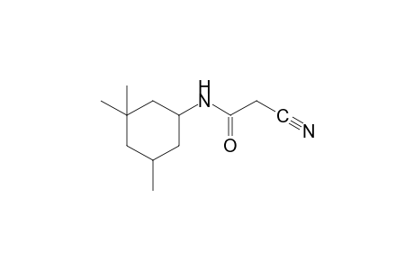 2-cyano-N-(3,3,5-trimethylcyclohexyl)acetamide