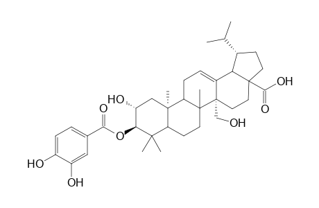 2.alpha.,3.beta.,27-Trihydroxylup-12-en-28-oic Acid - 3'-(3",4"-Dihydroxybenzoyl) Ester