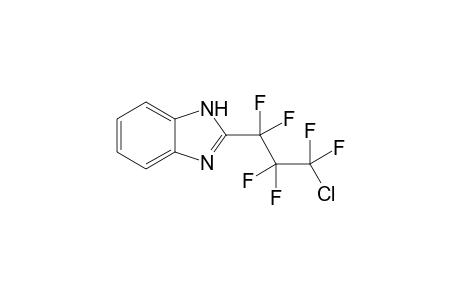 2-(3-Chloro-1,1,2,2,3,3-hexafluoropropyl)-1H-benzoimidazole