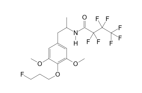 3C-FP HFB