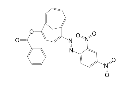 2-(benzoyloxy)-5-(2,4-dinitrophenylazo)-1,6-methano[10]annulene