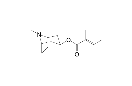 Tigloidine