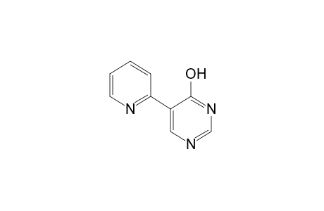 5-(2-PYRIDYL)-4-PYRIMIDINOL