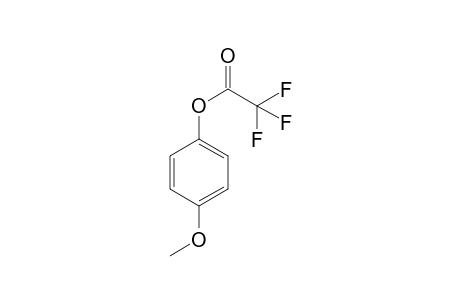 4-methoxyphenyl trifluoroacetate
