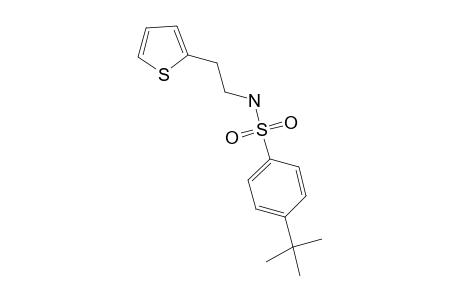 Benzenesulfonamide, 4-(1,1-dimethylethyl)-N-[2-(2-thienyl)ethyl]-