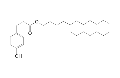 Octadecyl 3-(4'-hydroxyphenyl)propanoate