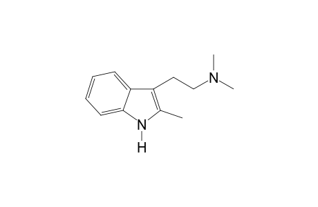 2-Me-DMT