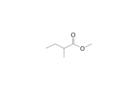 2-Methyl-butyric acid, methyl ester