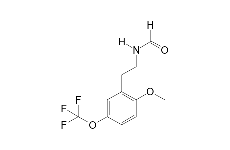 5TF-2C-H FORM