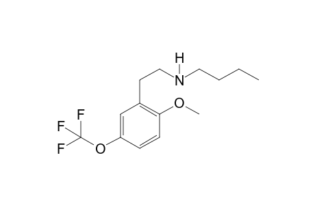 5TF-2C-H BU