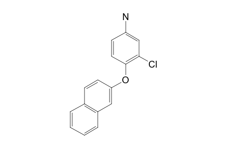 3-Chloro-4-(2-naphthyloxy)aniline