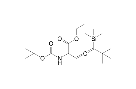 2-(Tert-butoxycarbonylamino)-6,6-dimethyl-5-trimethylsilyl-hepta-3,4-dienoic acid ethyl ester