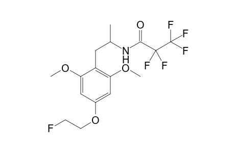 Psi-MFEM PFP