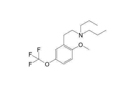 5TF-2C-H 2PR