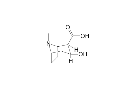 (-)-Ecgonine