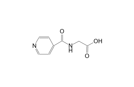 Isoniazid-M glycine conjugate