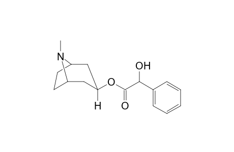 8-Methyl-8-azabicyclo[3.2.1]oct-3-yl hydroxy(phenyl)acetate