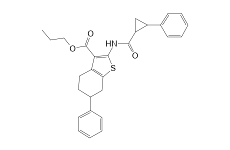 Propyl 6-phenyl-2-{[(2-phenylcyclopropyl)carbonyl]amino}-4,5,6,7-tetrahydro-1-benzothiophene-3-carboxylate