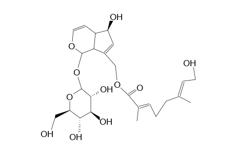 10-O-FOLIAMENTHOYLAUCUBIN