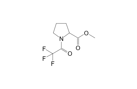 Proline, N-(trifluoroacetyl)-, methyl ester