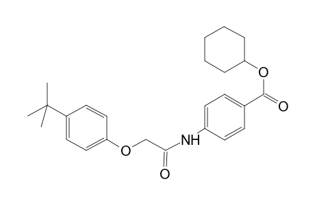 Benzoic acid, 4-[[[4-(1,1-dimethylethyl)phenoxy]acetyl]amino]-, cyclohexyl ester