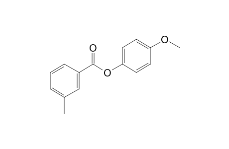 m-Toluic acid, 4-methoxyphenyl ester