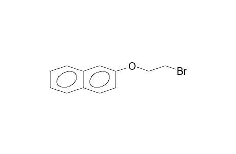2-(2-Bromoethoxy)naphthalene