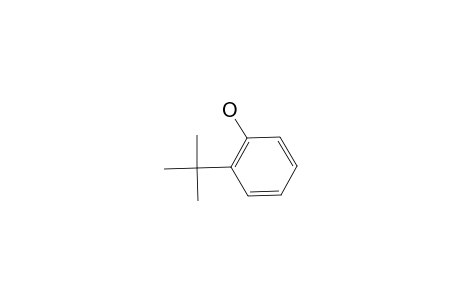 o-Tert-butylphenol