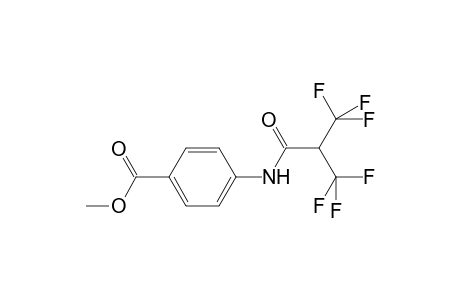 Benzoic acid, 4-[[3,3,3-trifluoro-1-oxo-2-(trifluoromethyl)propyl]amino]-, methyl ester