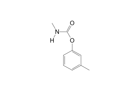 M-TOLYL-N-METHYLCARBAMAT