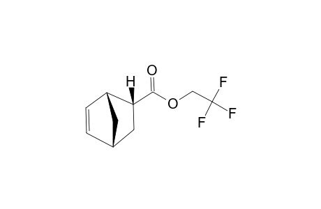 (1R,2R,4R)-Bicyclo-[2.2.1]-hept-5-ene-2-carboxylic-acid-2,2,2-trifluoro-ethylester