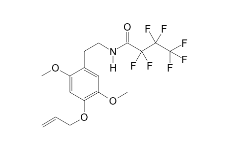 2C-O-16 HFB