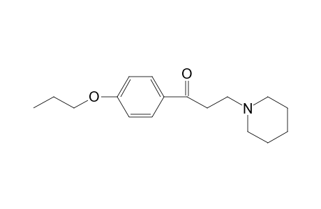 Propipocaine