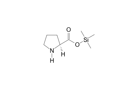 L-Proline TMS