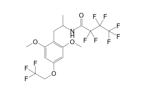 Psi-MTFEM HFB