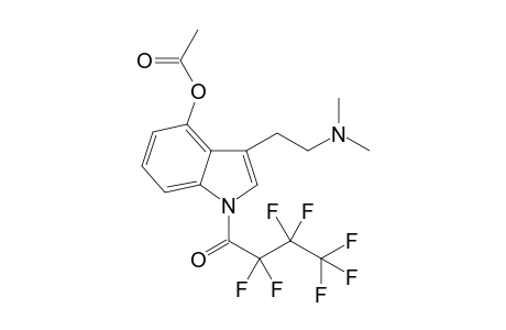 4-ACO-DMT HFB