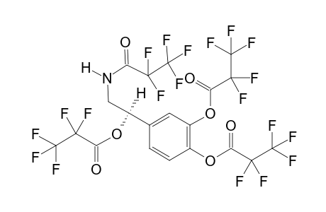 Noradrenaline 4PFP